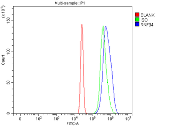 RNF34 Antibody
