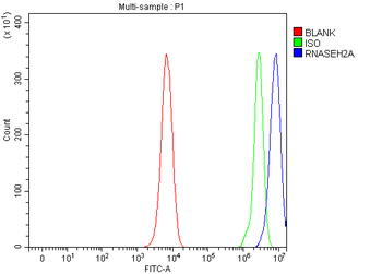 Ribonuclease H2, subunit A/RNASEH2A/H2 Rabbit Polyclonal Antibody