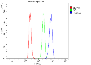 RASAL2 Rabbit Polyclonal Antibody
