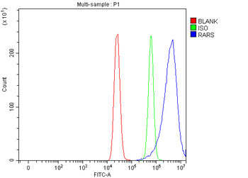 RARS/RARS1 Antibody