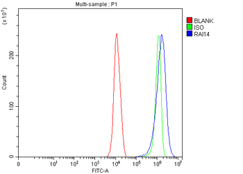 RAI14 Rabbit Polyclonal Antibody
