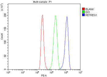 RETREG1 Rabbit Polyclonal Antibody