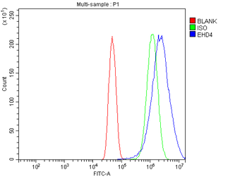 EHD4 Rabbit Polyclonal Antibody