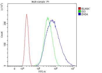 EHD4 Rabbit Polyclonal Antibody