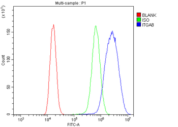 ITGA8 Rabbit Polyclonal Antibody