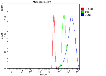 CDNF Rabbit Polyclonal Antibody