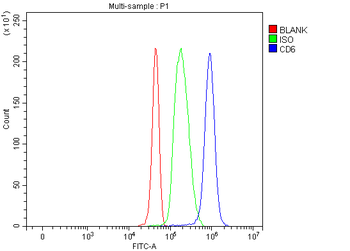 T12/CD6 Rabbit Polyclonal Antibody