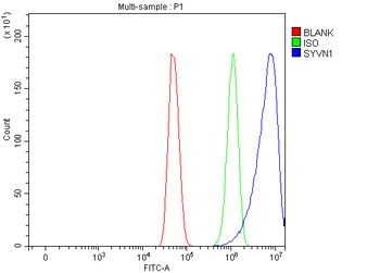 HRD1/SYVN1 Antibody