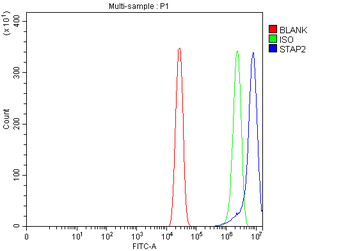 STAP2 Rabbit Polyclonal Antibody