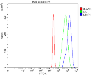 STAP-1/STAP1/STAP Rabbit Polyclonal Antibody