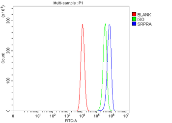 SRPRA Rabbit Polyclonal Antibody