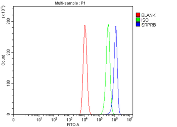 SRPRB Rabbit Polyclonal Antibody