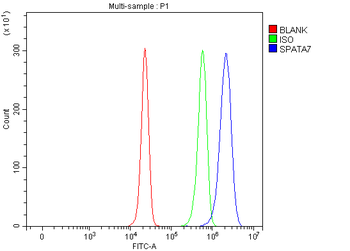 SPATA7 Rabbit Polyclonal Antibody
