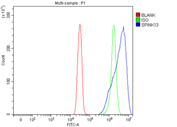 SPINK13 Rabbit Polyclonal Antibody