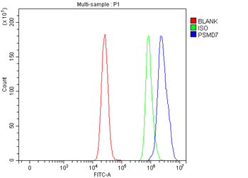 PSMD7 Rabbit Polyclonal Antibody