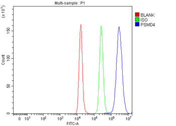 PSMD4 Antibody