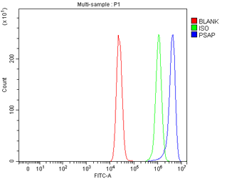 PSAP Antibody