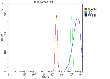PRSS8 Rabbit Polyclonal Antibody