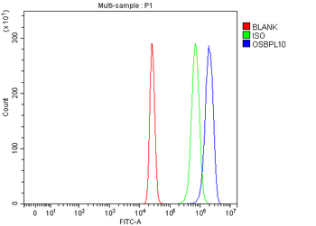 OSBPL10 Rabbit Polyclonal Antibody