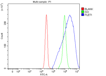 PLET1 Rabbit Polyclonal Antibody