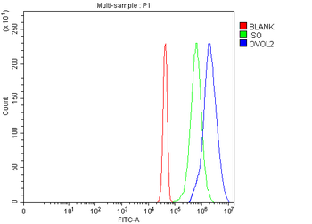 OVOL2 Antibody