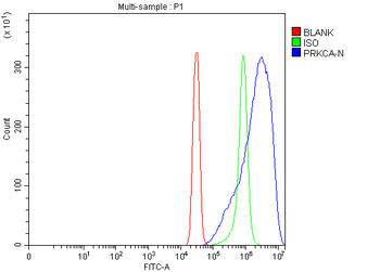 PKC Alpha/PRKCA Rabbit Polyclonal Antibody
