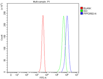 PPP2R5D Rabbit Polyclonal Antibody