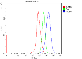 TM2D3 Rabbit Polyclonal Antibody