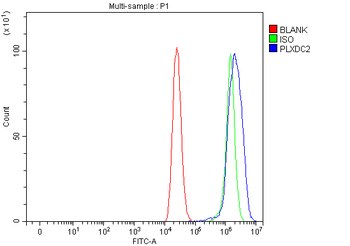 PLXDC2 Rabbit Polyclonal Antibody