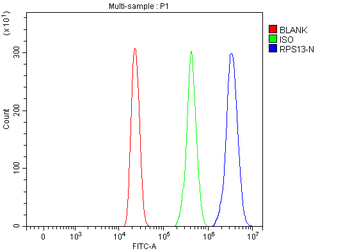 RPS13 Rabbit Polyclonal Antibody