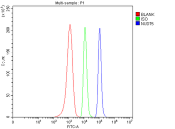 NUDT5 Rabbit Polyclonal Antibody