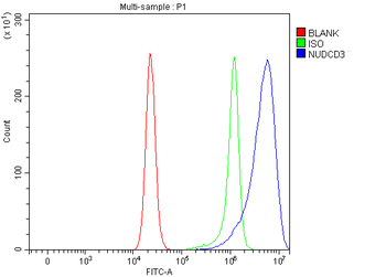 NUDCD3 Rabbit Polyclonal Antibody