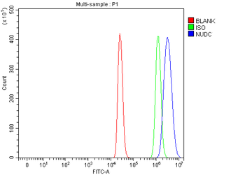 NUDC Rabbit Polyclonal Antibody
