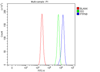 PTPN9 Rabbit Polyclonal Antibody
