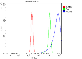 PTGR2 Rabbit Polyclonal Antibody