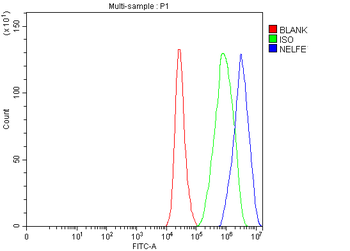 NELFE Rabbit Polyclonal Antibody