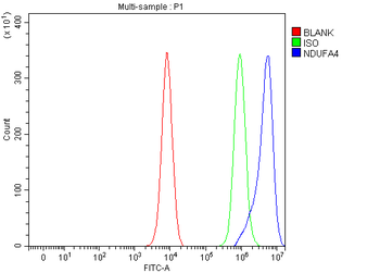 NDUFA4 Antibody