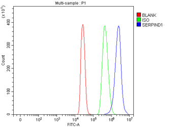 SERPIND1 Rabbit Polyclonal Antibody