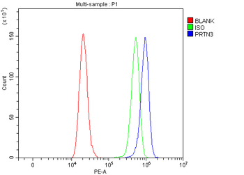 PRTN3 Rabbit Polyclonal Antibody