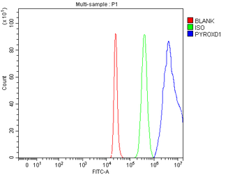 PYROXD1 Rabbit Polyclonal Antibody