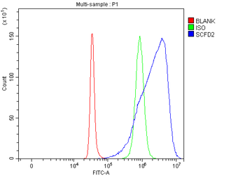 SCFD2 Rabbit Polyclonal Antibody