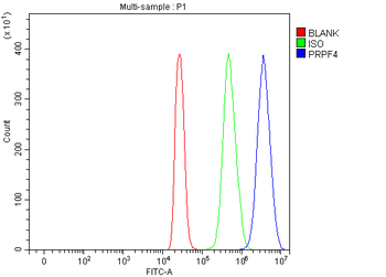 PRPF4 Rabbit Polyclonal Antibody