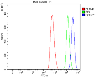 RPB5/POLR2E Antibody