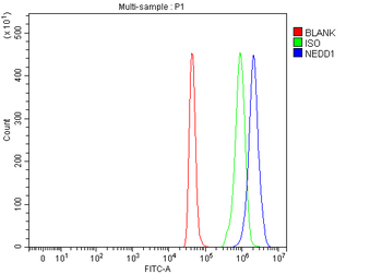 NEDD1 Rabbit Polyclonal Antibody