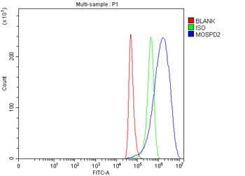 MOSPD2 Antibody