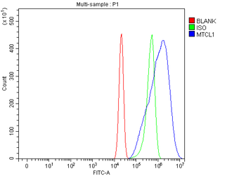 MTCL1 Antibody