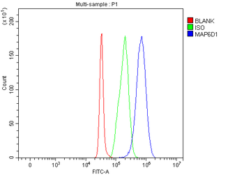 MAP6D1 Rabbit Polyclonal Antibody