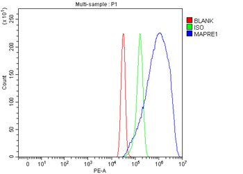 EB1/MAPRE1 Antibody