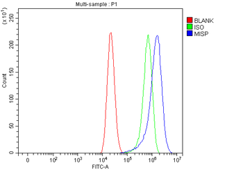 MISP Rabbit Polyclonal Antibody
