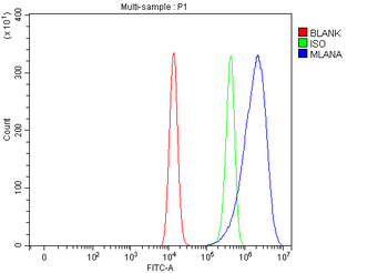 Melan-A/MLANA Rabbit Polyclonal Antibody